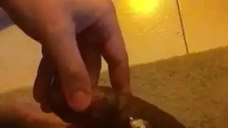 جلسة مص قضيب شركات