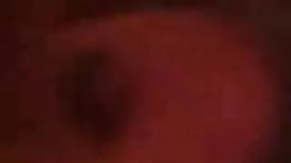 نائب الرئيس الخاص طويل ذو أرجل عرقي تحول جنسى