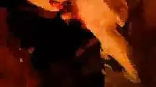 فيديو تركي ساخن مص وقوف كلابي