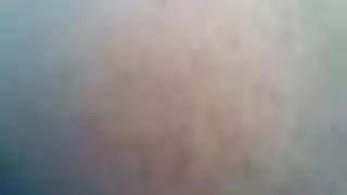 نيك طيز عربي صريح