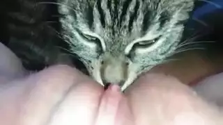 محرم إكس إكس إكس: حركة بين حيوان وبنت