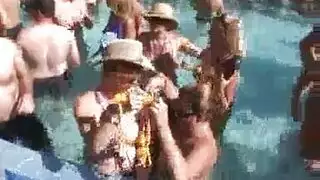 طياظ مترجم كبيرة