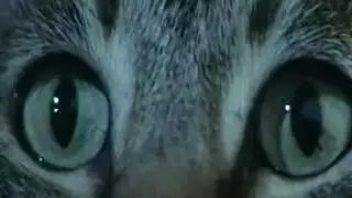 شقراء ذات مؤخرة كبيرة تأخذه بعمق في الشرج