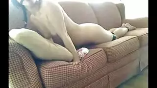 إعادة مونتاج جنس كلابي قوي مع وجه