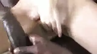 قضيب أسود طويل يملأ مهبلها الجميل بجنس خشن