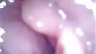 تجميعة هز المؤخرة العربية إباحي صريح